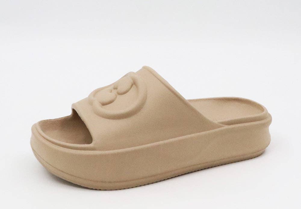 Eva Platform Slides