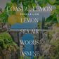 Coastal Lemon Soy Candle - Tinted Glass Jar - 12 oz