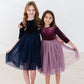Amethyst Velvet Tutu Dress