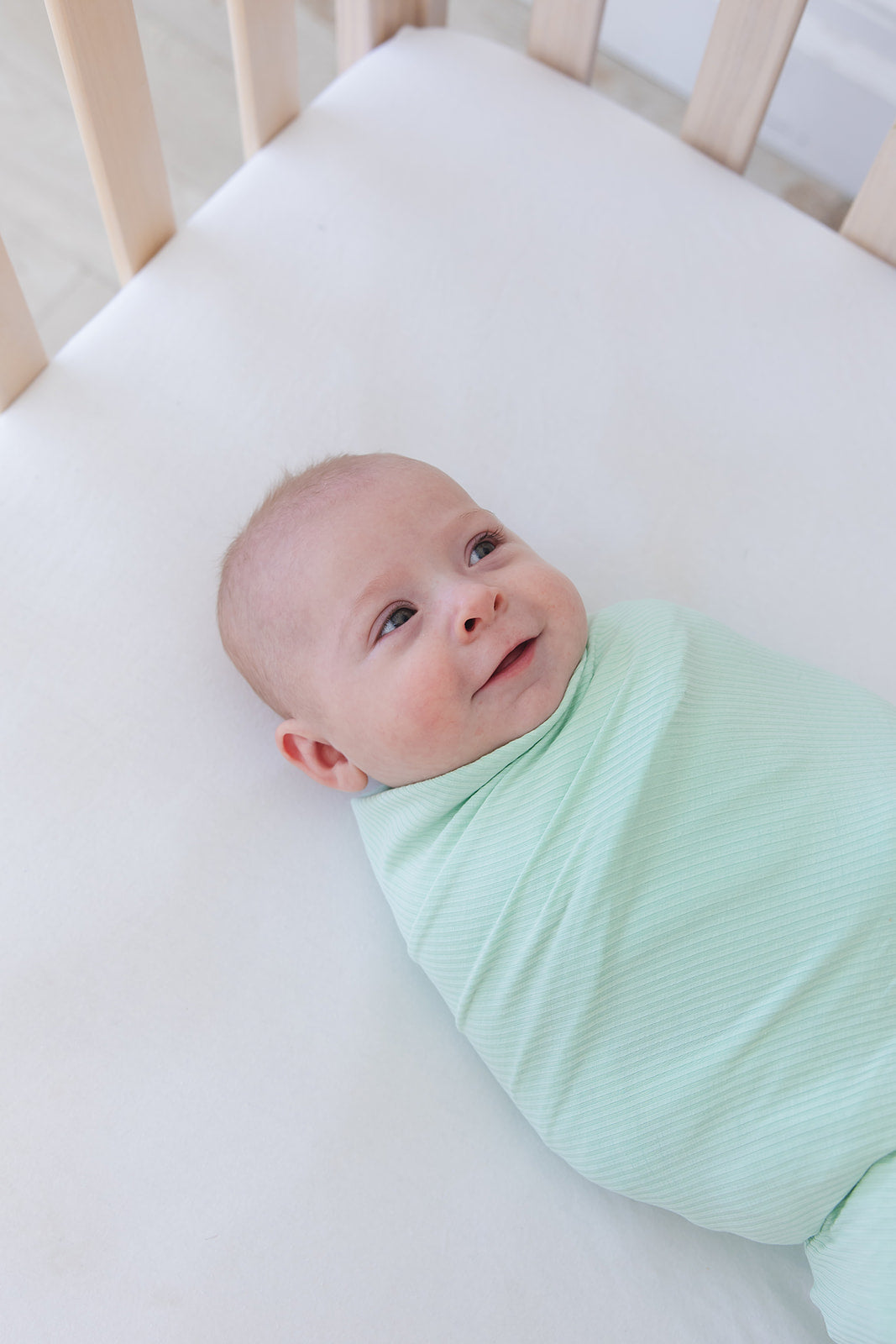 Lion Around Ribbed Lightweight Blanket