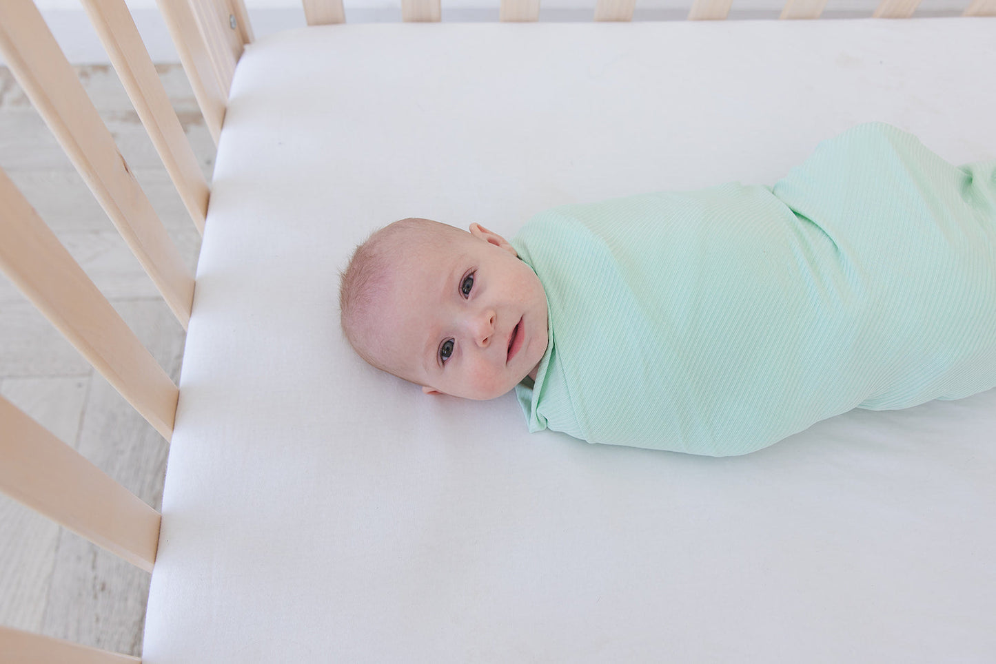 Lion Around Ribbed Lightweight Blanket