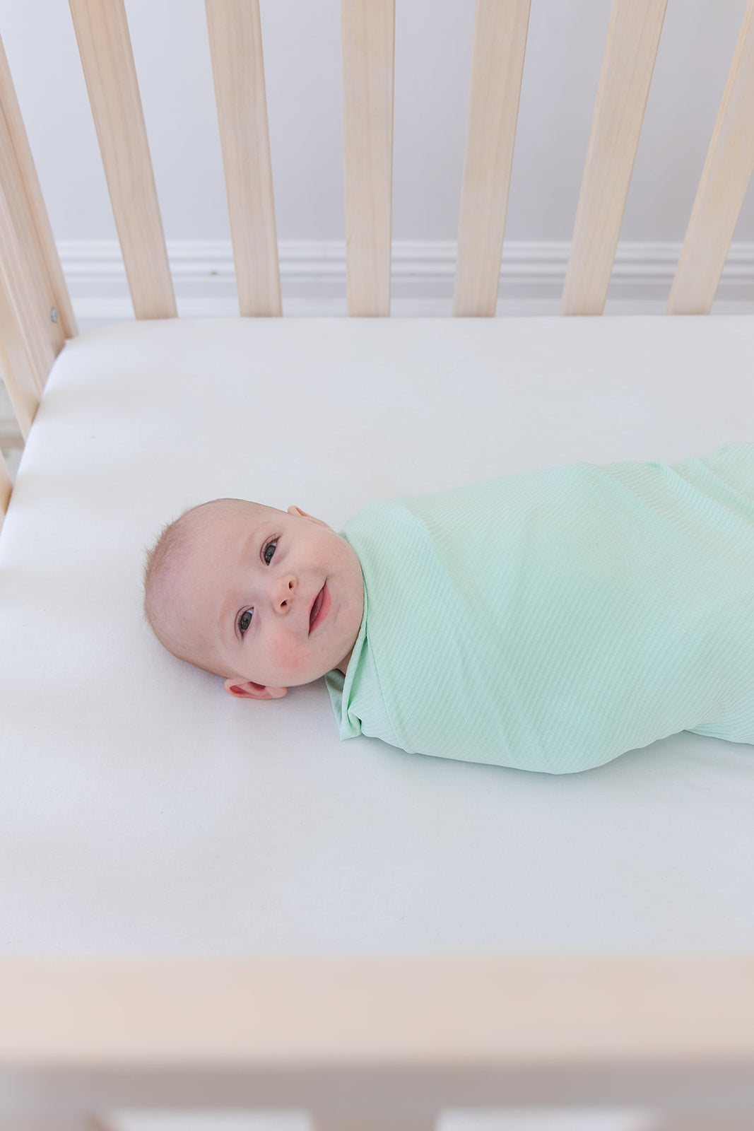 Lion Around Ribbed Lightweight Blanket