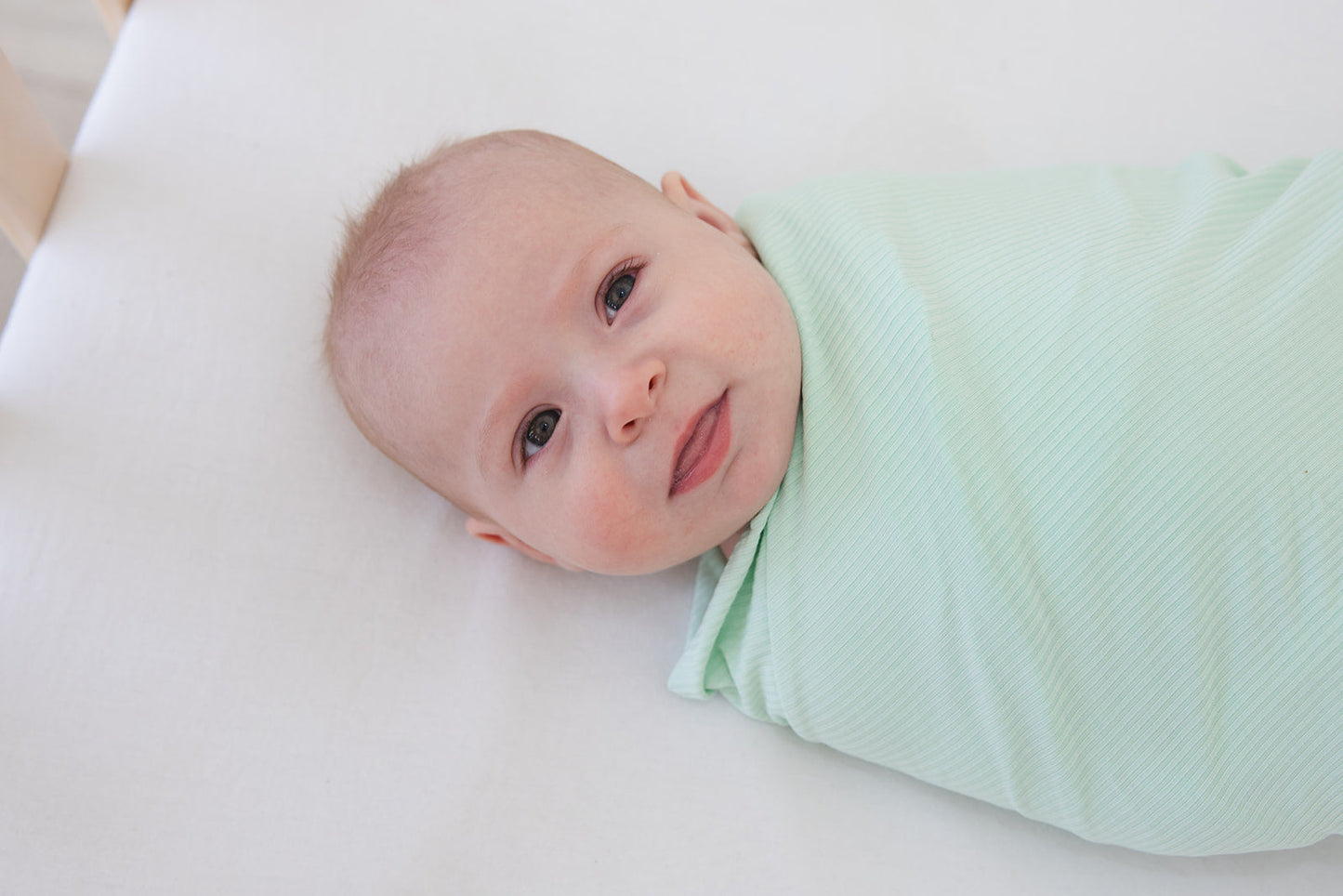 Lion Around Ribbed Lightweight Blanket