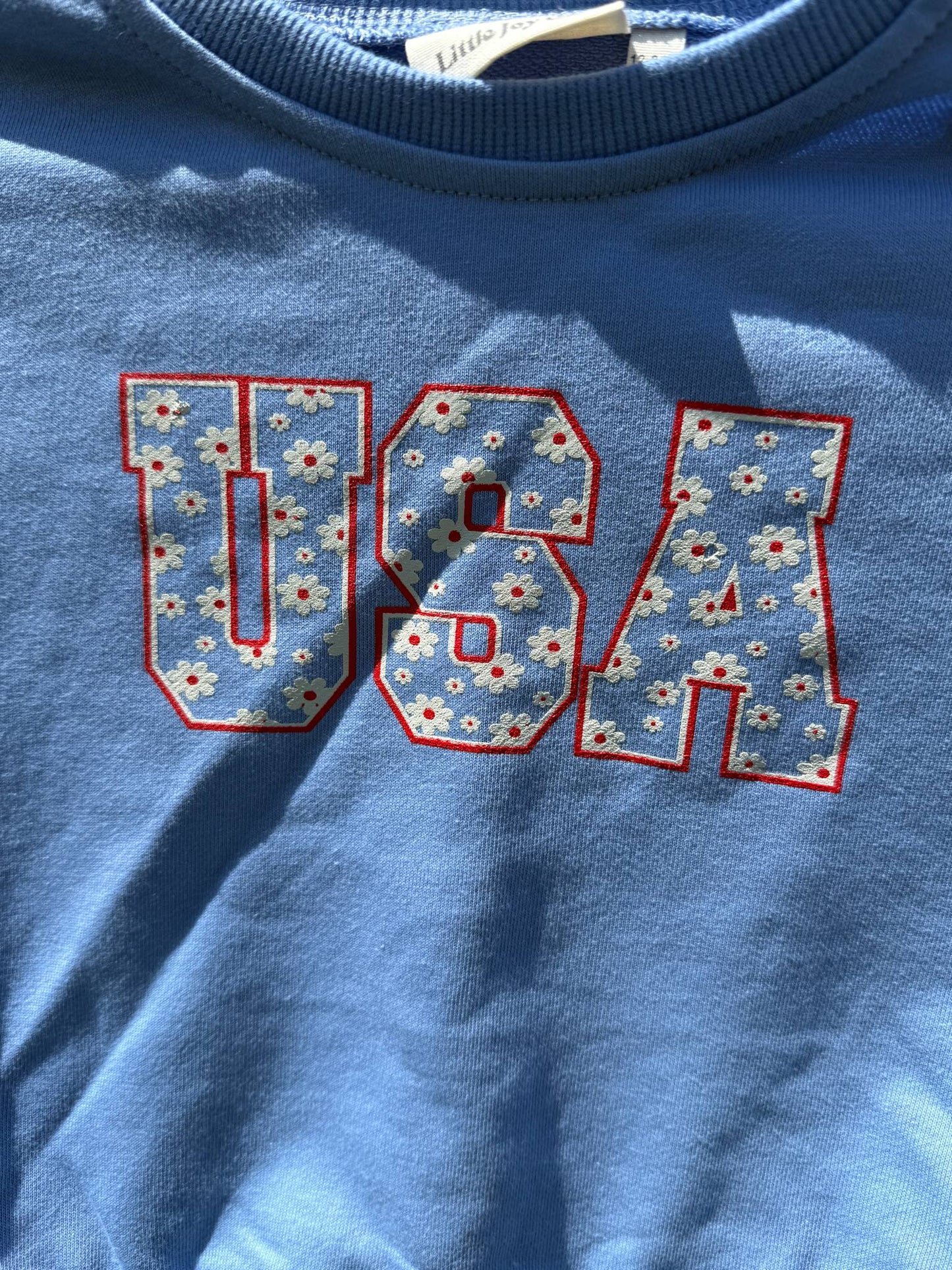 USA Daisy Crewneck Sweatshirt