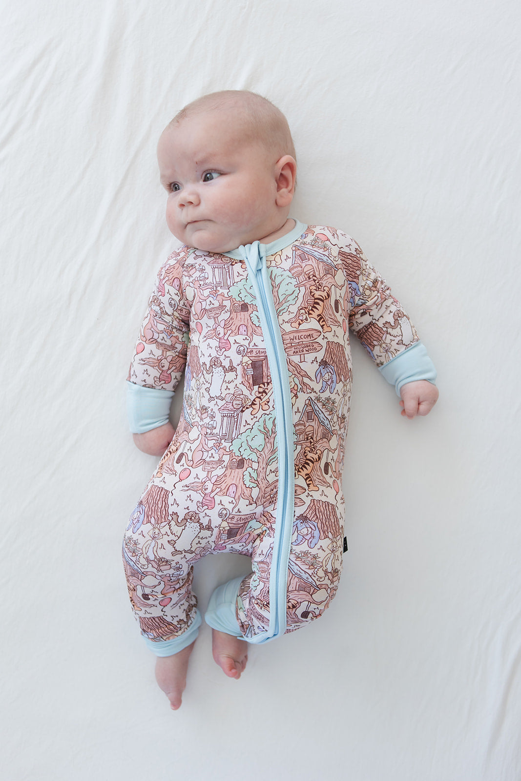 Hundred Acre Wood Zippy Pajama