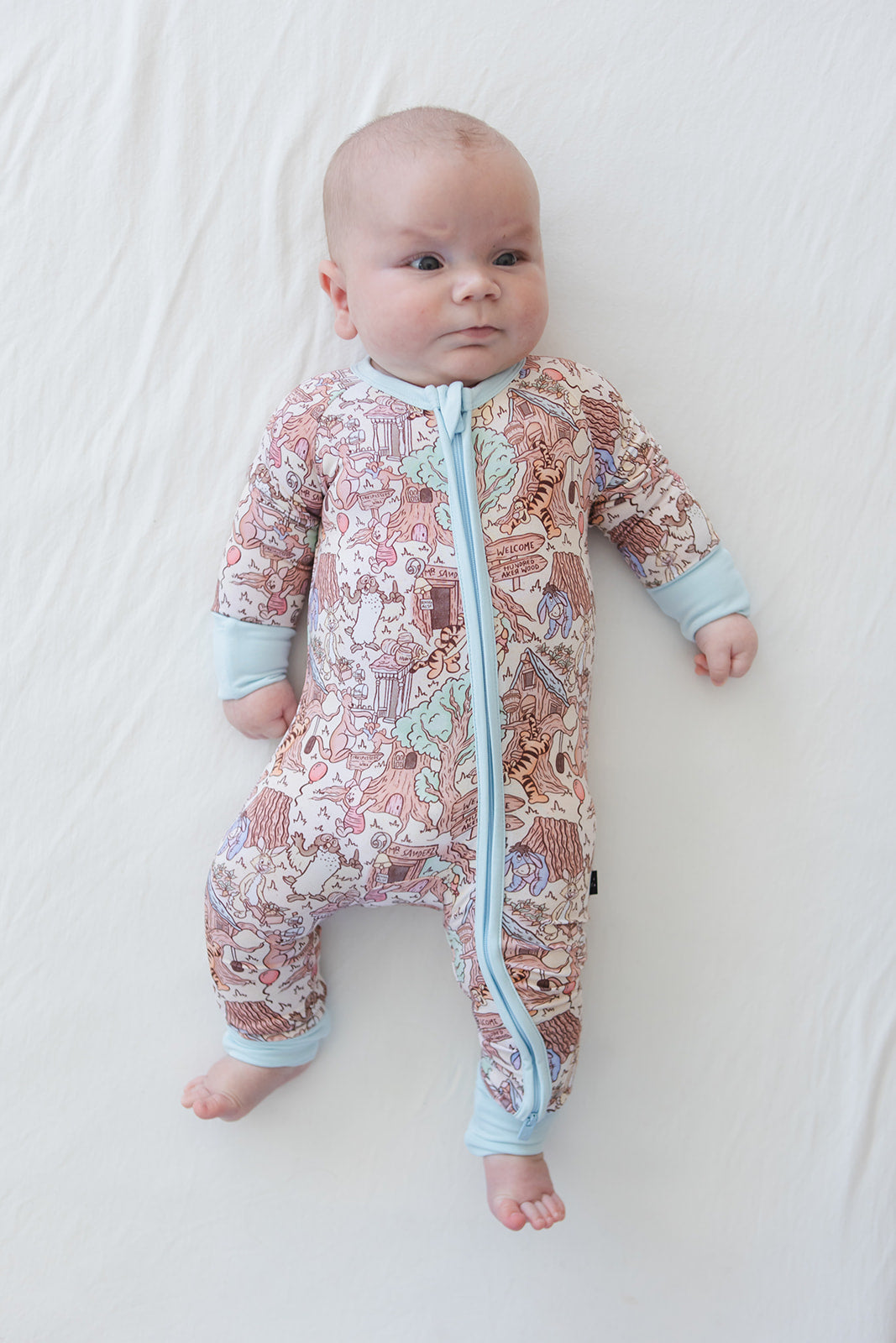 Hundred Acre Wood Zippy Pajama