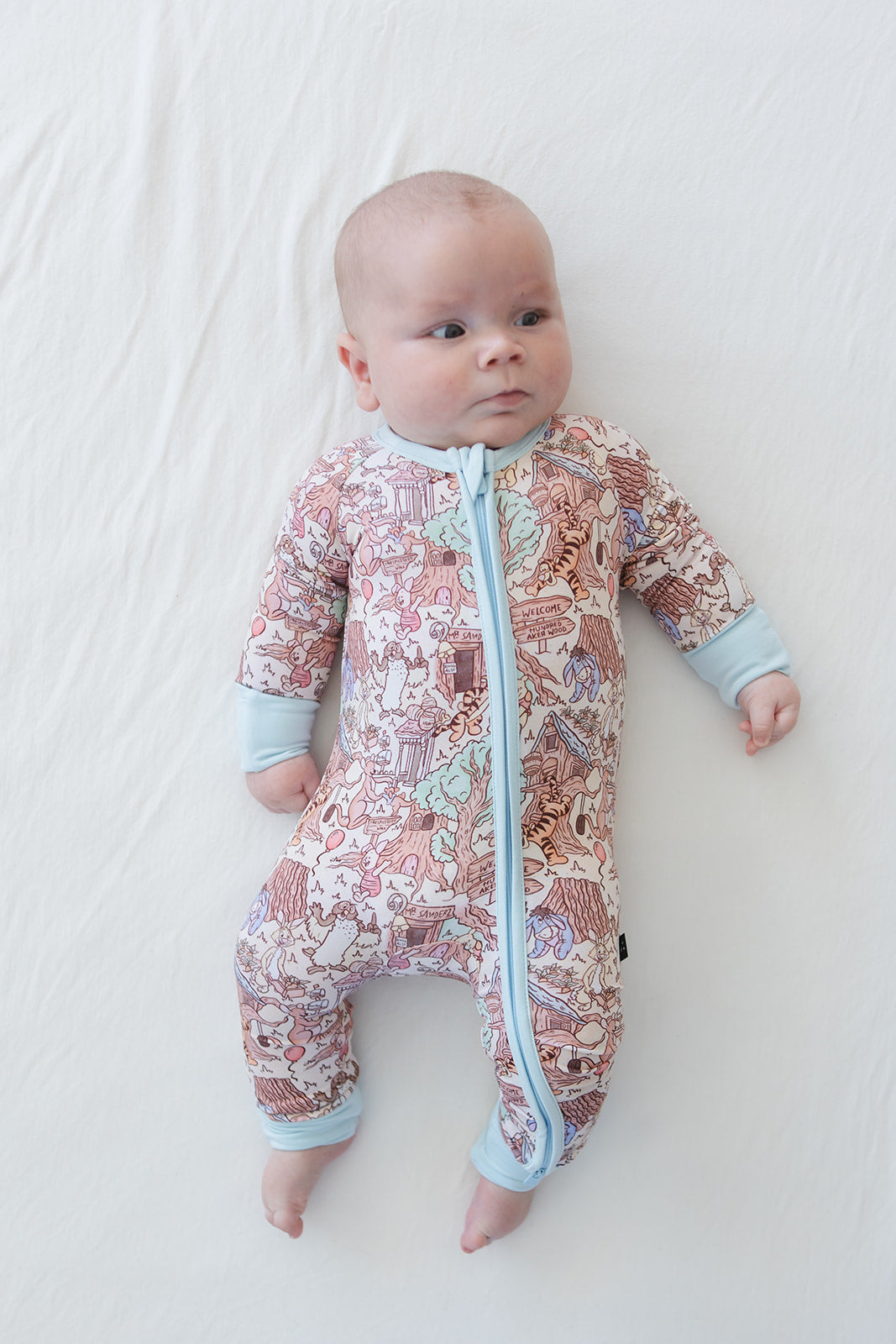 Hundred Acre Wood Zippy Pajama
