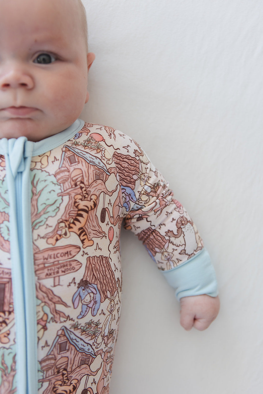 Hundred Acre Wood Zippy Pajama