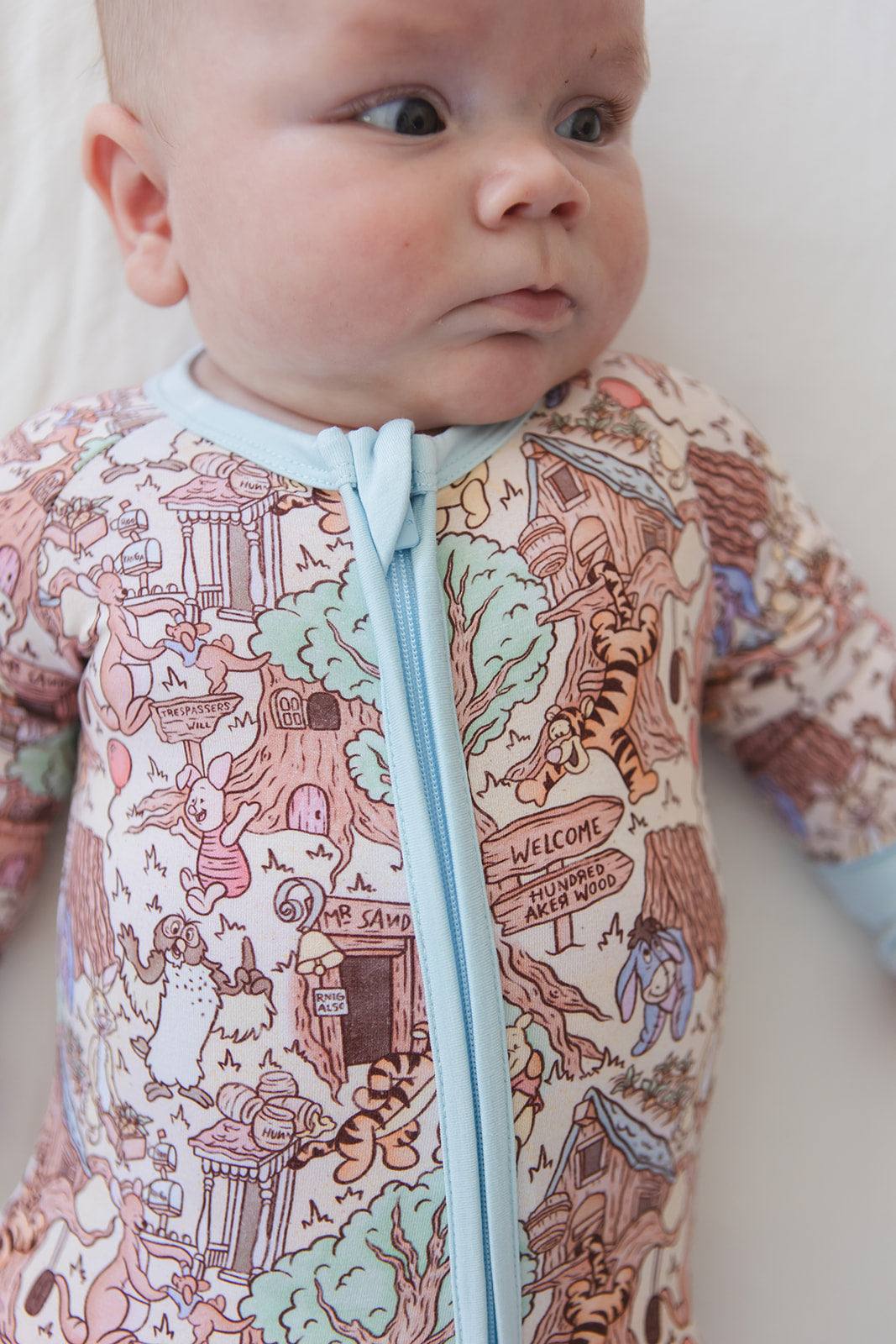 Hundred Acre Wood Zippy Pajama