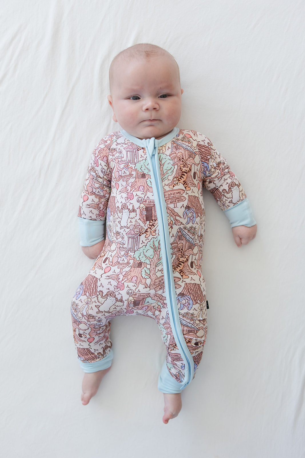 Hundred Acre Wood Zippy Pajama