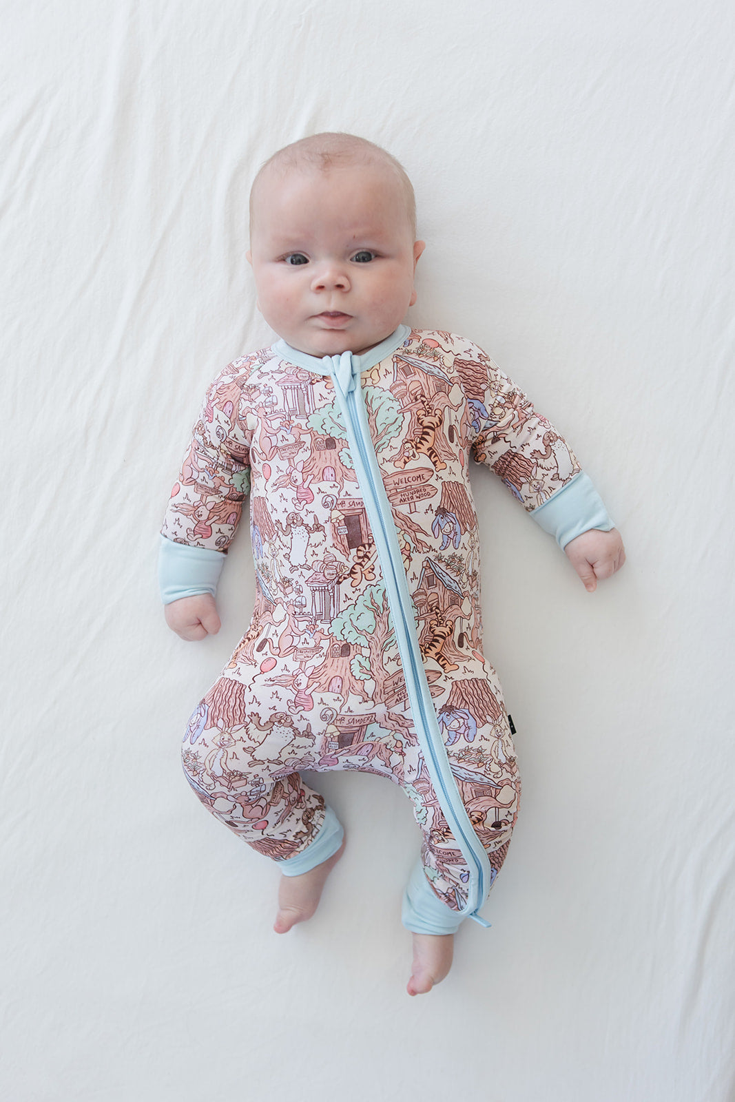 Hundred Acre Wood Zippy Pajama