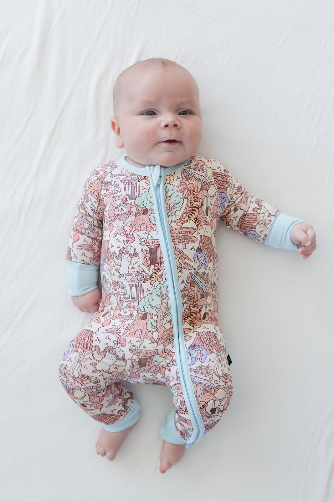 Hundred Acre Wood Zippy Pajama