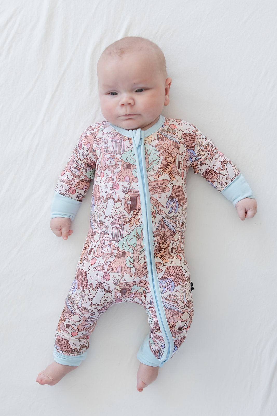 Hundred Acre Wood Zippy Pajama