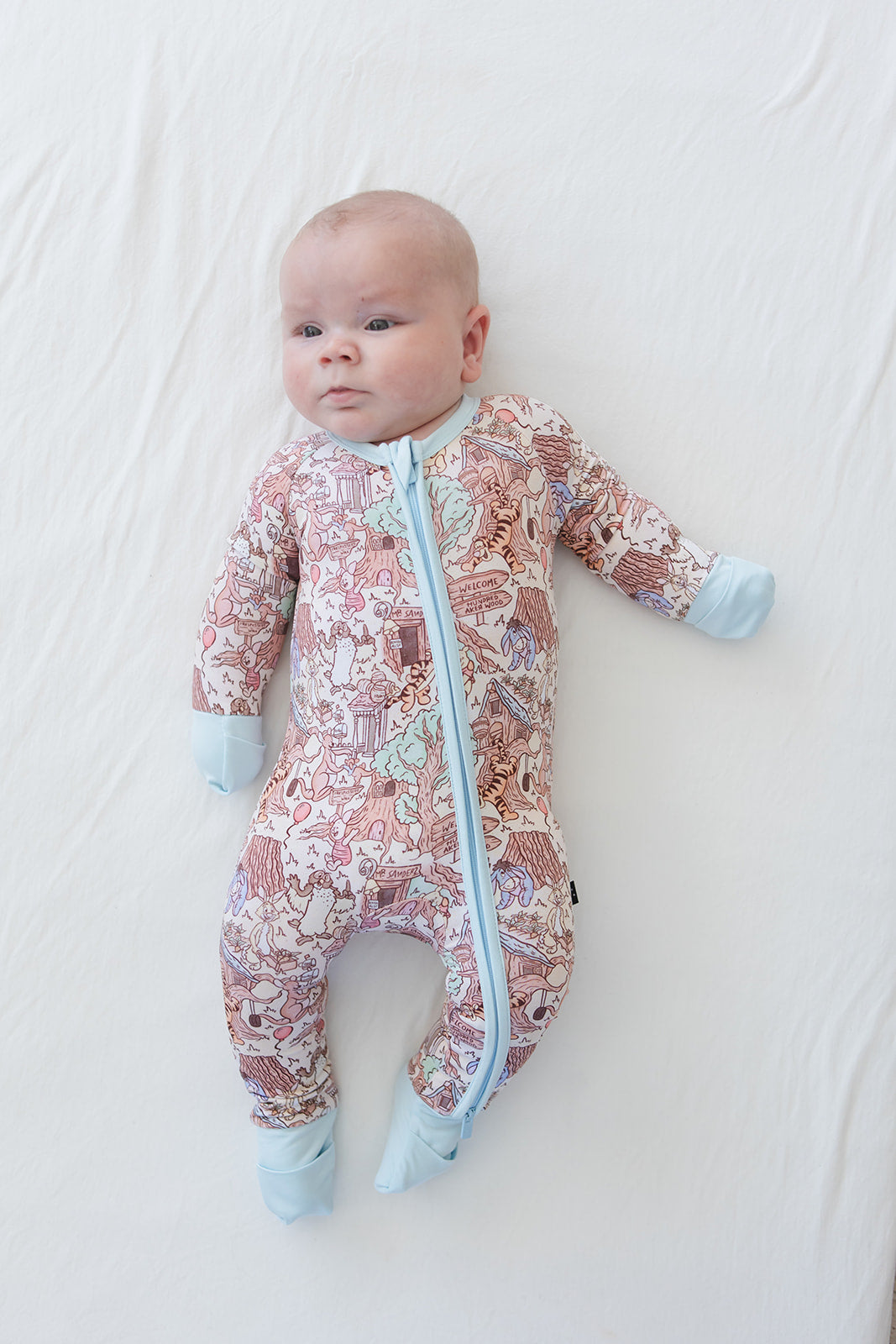 Hundred Acre Wood Zippy Pajama