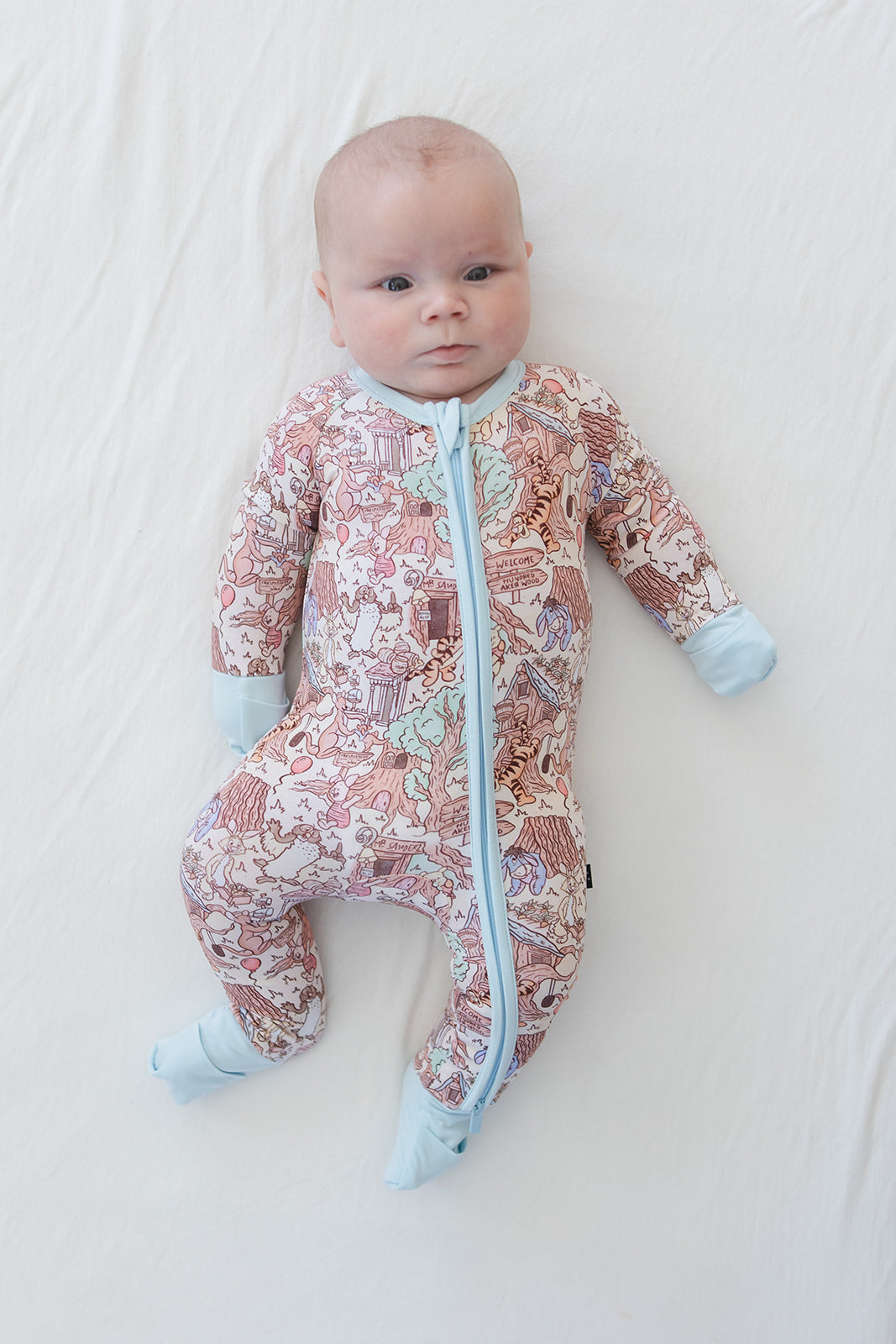 Hundred Acre Wood Zippy Pajama