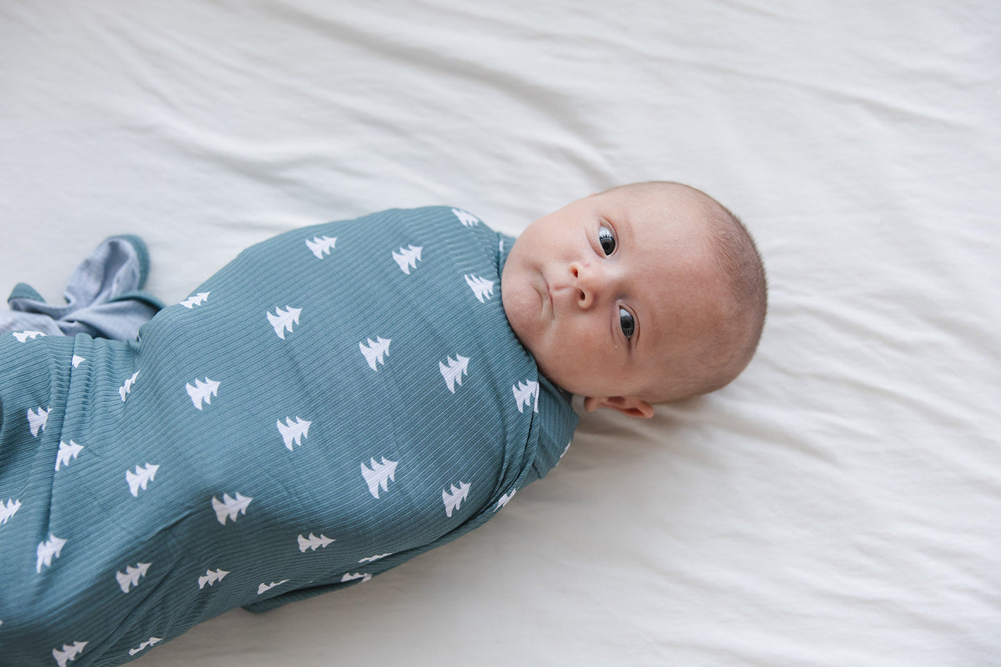 Northern Pine Ribbed Lightweight Blanket