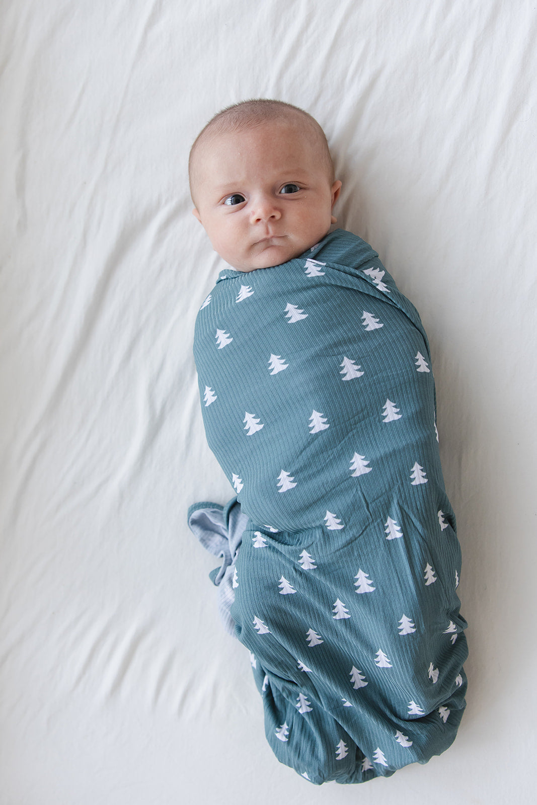 Northern Pine Ribbed Lightweight Blanket