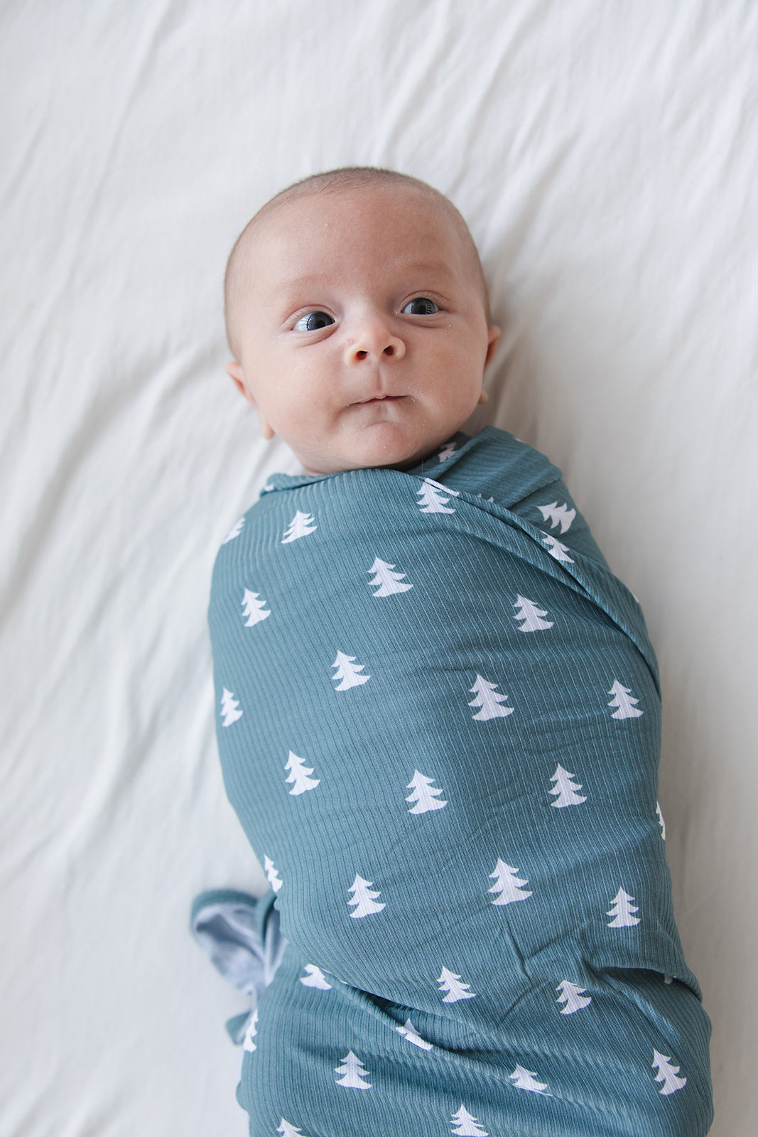 Northern Pine Ribbed Lightweight Blanket