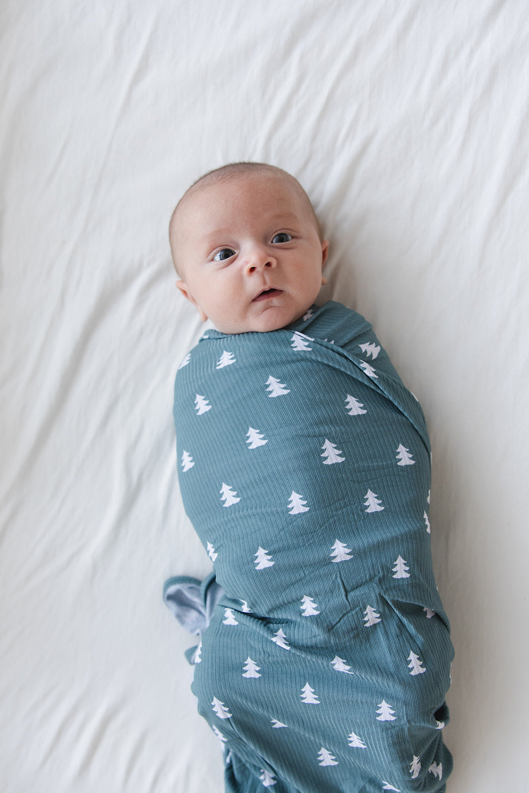 Northern Pine Ribbed Lightweight Blanket