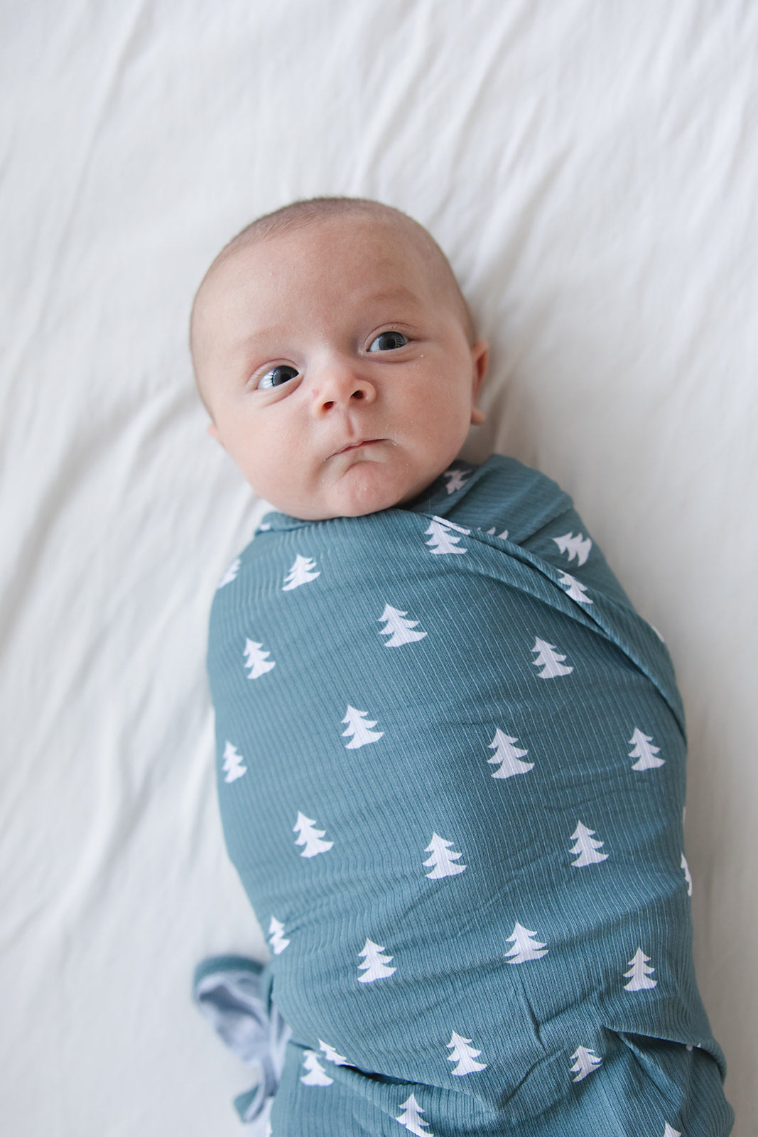 Northern Pine Ribbed Lightweight Blanket