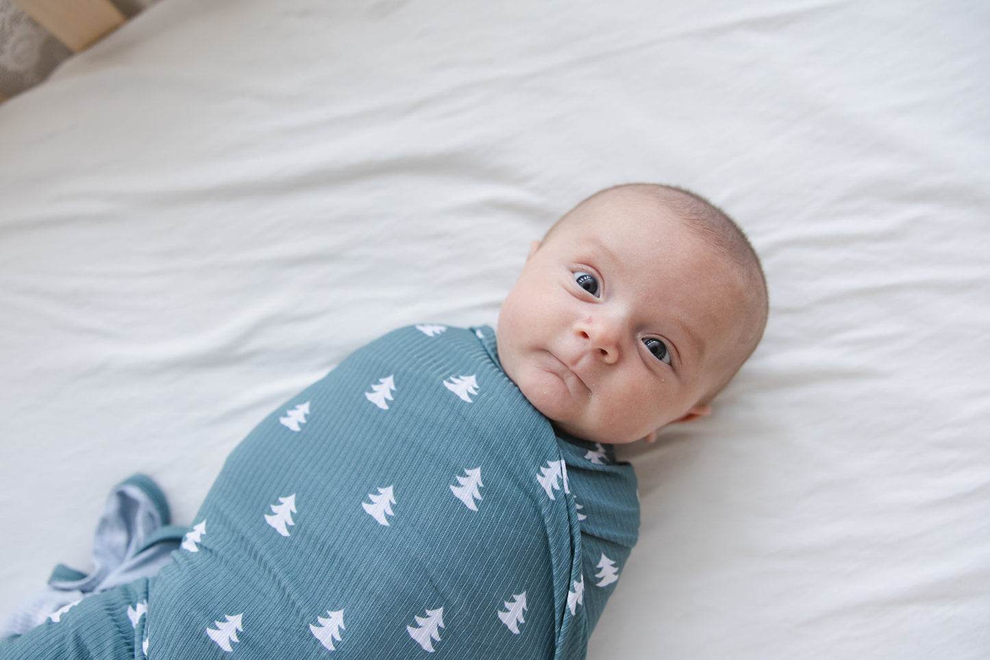 Northern Pine Ribbed Lightweight Blanket