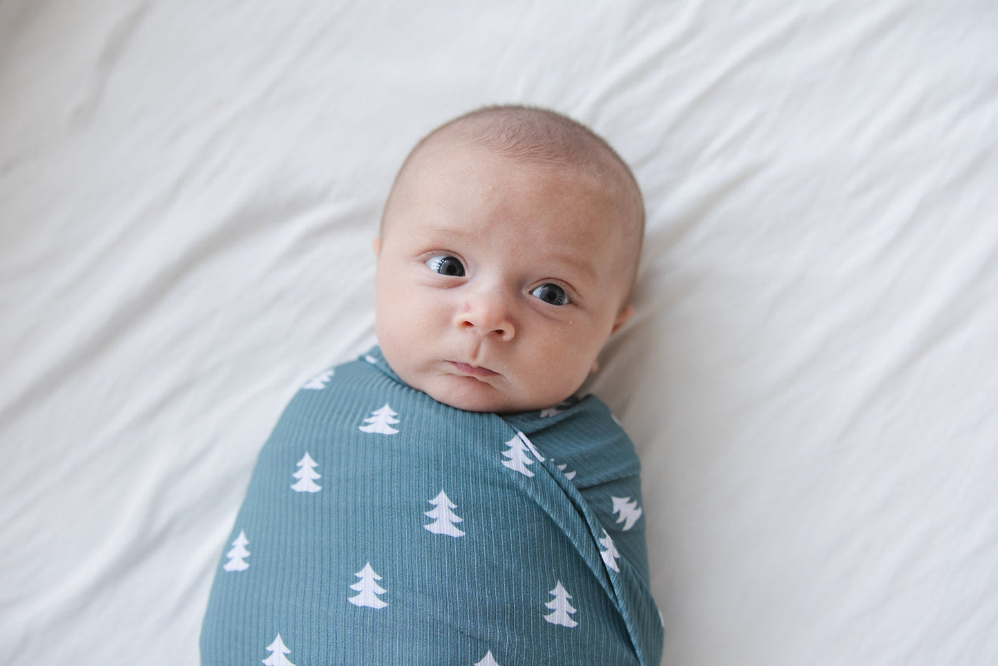 Northern Pine Ribbed Lightweight Blanket