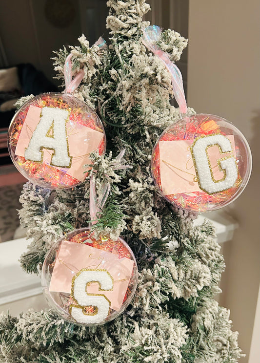 Chenille Letter Ornament With Coordinating Initial Necklace