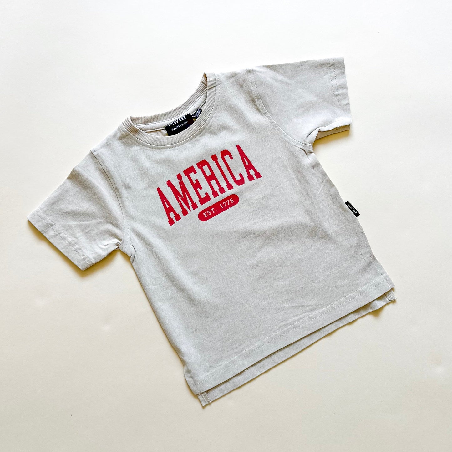 America Established Acid Wash Tee - Neutral