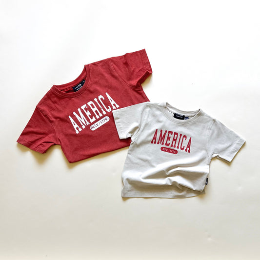 America Established Acid Wash Tee - Neutral