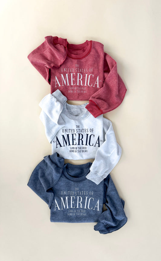 America Vintage Embroidered Sweatshirt