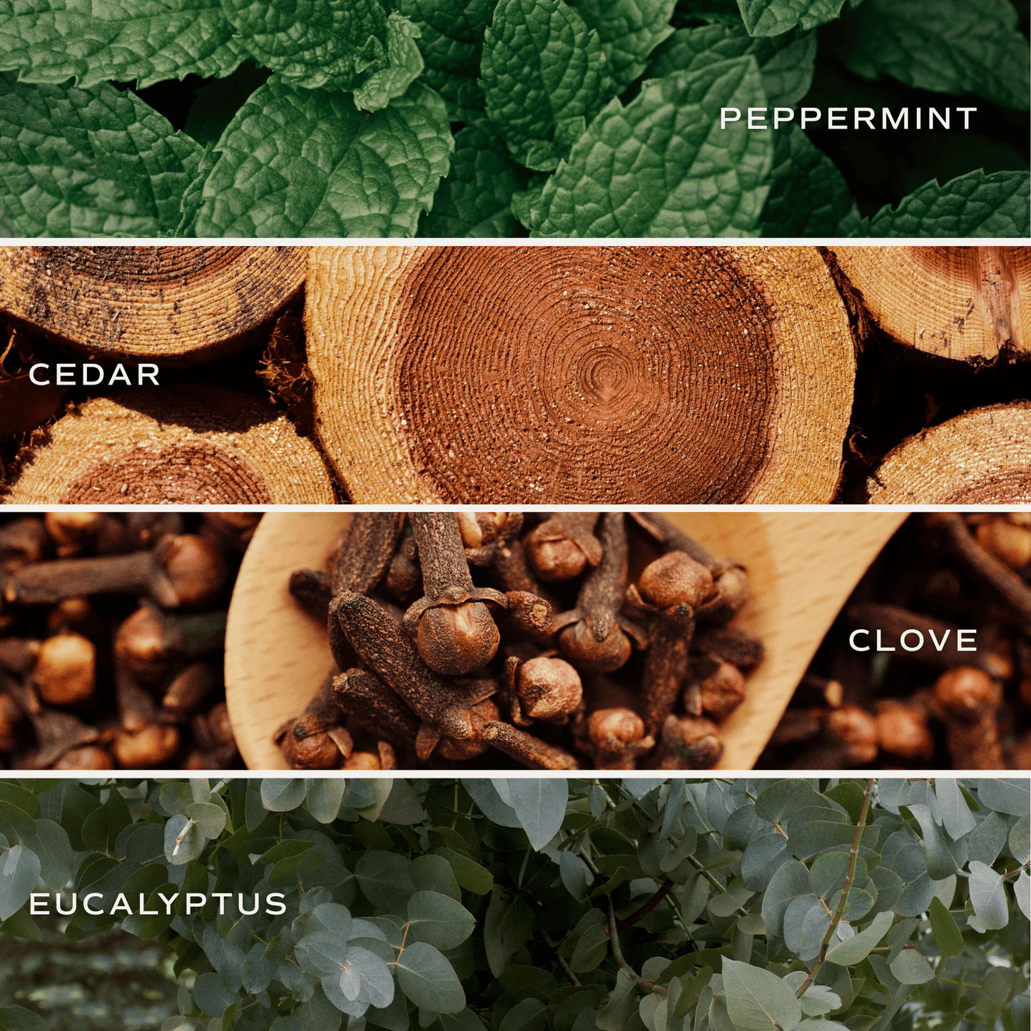 Relaxation Soy Candle - White Jar - 11 oz