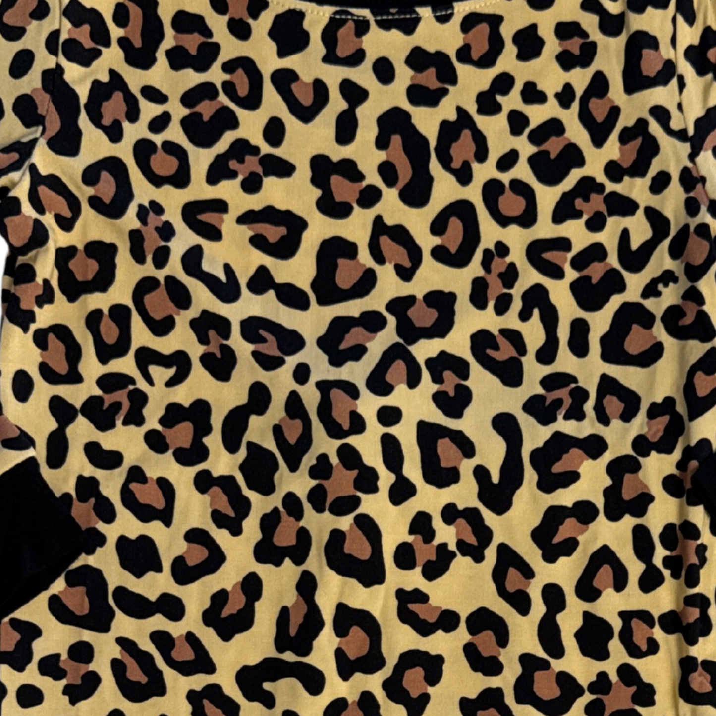 Leopard Print Two Piece Pajama Set