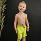 Aqua Boardshorts