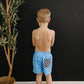 Aqua Boardshorts