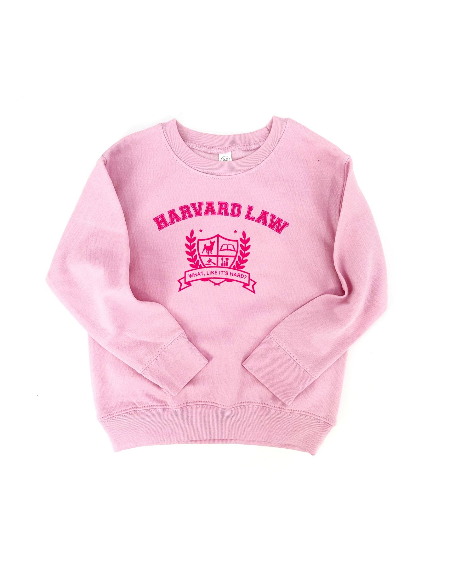 "What, like it’s hard?" Kids Pullover