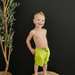 Aqua Boardshorts