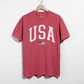 USA Varsity Graphic Tee – 5 Colors